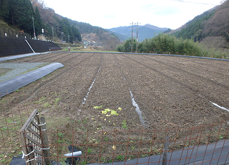 田んぼ設備 施工後 写真